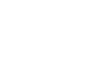 logo felmini